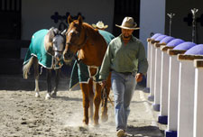 Mexico-Sierra Occidental-Mexican Equestrian and Horse Clinic